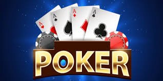 5588bet7